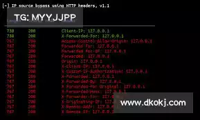 手机能上推特的加速器——洞察成果,助力决策,立即提升项目价值!